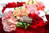 Photo for Blooming Flowers