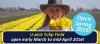 Photo for Texas-Tulips, LLC