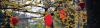 Photo for Life insurance - disability insurance