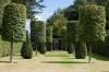 Photo for Affordable Tree Cutting Services in Pasadena, CA