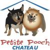 Photo for Petite Pooch