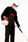 Photo for Pest Control New York