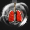 Photo for Global 3D Bioprinting Equipment Market 2015 Industry Trend, Share, Opportunities and Forecast to 2020