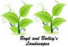 Photo for Boyd and Bailey's Landscapes