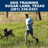 Photo for Dog Training Sugar Land, TX