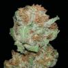 Photo for Valley Of The Sun Medical Dispensary