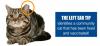 Photo for Humane Society of Greater Miami South