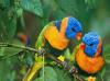 Photo for Birding in China