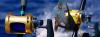 Photo for Sea Cross Miami Deep Sea Fishing Charters