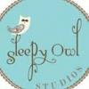 Photo for Sleepy Owl Studios