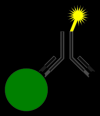 Photo for Global Immunoassay Reagents Market  by 2020