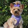 Photo for Desert Girls Pampered Pets