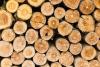 Photo for Global Kraft Lignin Market is Envisioned to Grow at a CAGR of 3% by 2021: By Market Research Engine