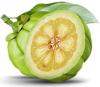 Photo for Garcinia Cambogia Free Trial UK