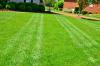 Photo for Par One Turf & Landscaping Inc