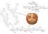 Photo for Organosolv Lignin Market
