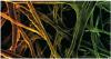 Photo for Global Cellulose Fiber Industry 2015 Deep Market Research Report