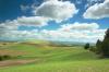 Photo for Universal SEO Service