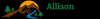 Photo for ALLISON PLUMBING, INC.