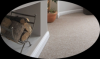 Photo for House cleaning Toorak Services