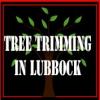 Photo for Tree Trimming in Lubbock