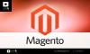 Photo for Magento CMS Website Development USA