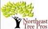 Photo for Northeast Tree Pros