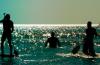 Photo for Why You Might Want to Consider a New Life in Clearwater Florida