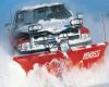 Photo for Elkhart Snow Removal