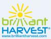 Photo for Brilliant Harvest