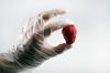 Photo for Food Service Glove Market Trends, Growth 2015 | Prof Research Reports