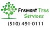 Photo for Fremont Arborist Tree Services