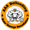 Photo for AAA Deflooding