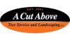 Photo for A Cut Above Tree Service and Landscaping