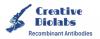Photo for Recombinant Anti-FB1 Antibody/scFv/Fab Fragment