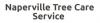 Photo for Naperville Tree Care