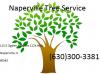 Photo for Naperville Tree Service