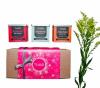Photo for THAO Tea Co