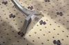 Photo for Huntington Carpet Cleaning Masters