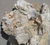 Photo for Attapulgite Market - Global Industry Analysis, Forecast up to 2020