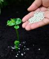 Photo for Global and Chinese Urea-Formaldehyde Compound Fertilizer Industry to Garner Huge Profits