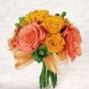Photo for Branson Petal Pushers