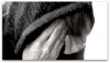 Photo for Ptsd treatment