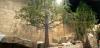 Photo for 5 Reasons Why Artificial Indoor Trees Are the Perfect Choice for Your Office!