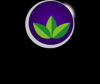 Photo for Ecliptic Massage