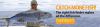 Photo for Network Capable Led Displays - Sailradios.com