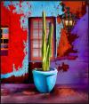 Photo for Barrio Design