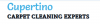 Photo for Cupertino Carpet Cleaning Experts