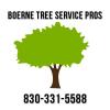 Photo for Boerne Tree Service Pros