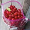 Photo for Food Container Market Research Report, 2012-2018 : Latest Market Overview, Size, Share and Forecast 2018